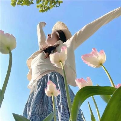 龙宫女刺客之大明女监